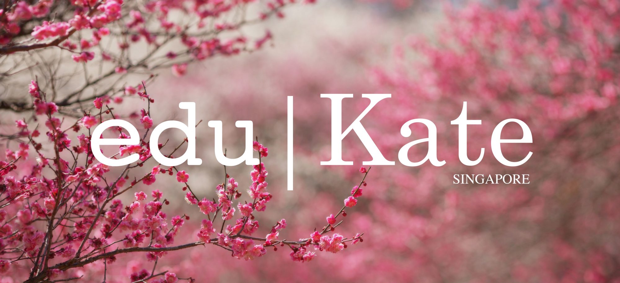 edukate Punggol Tuition English Math Science Creative Writing