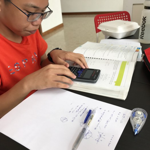 punggol tuition english math science dunman high