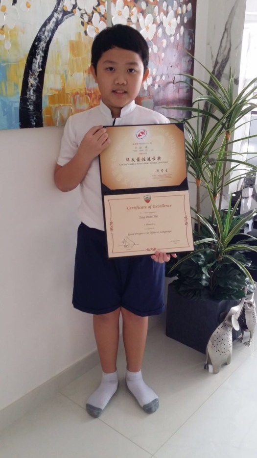 Bukit Timah H2 Mathematics Tuition for A level Maths Tuition Centre Punggol English Math Science Creative Writing Primary Secondary Tuition Female Tutor Small group class