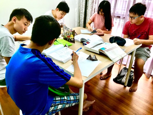 Singapore Tuition Centre igcse gce o level punggol sengkang tutor english maths science secondary primary tuition centre edukate small group add maths e maths gee o level tuition sec1 sec2 sec3 sec4 express Maths tutorial classes enrichment tuition class
