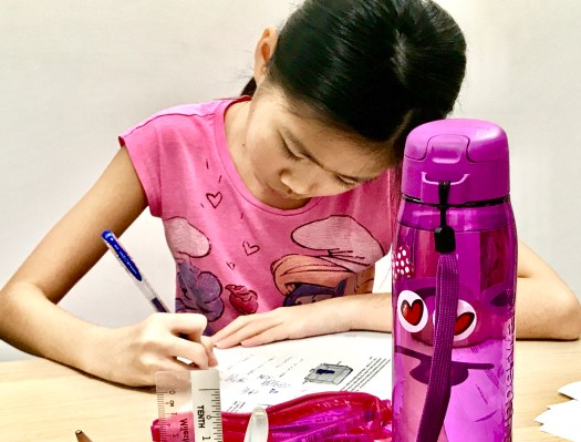 Bukit Timah Singapore Maths Tuition Centre punggol sengkang tutor english maths science secondary primary tuition centre edukate small group add maths e maths gee o level tuition sec1 sec2 sec3 sec4 express Maths tutorial classes enrichment