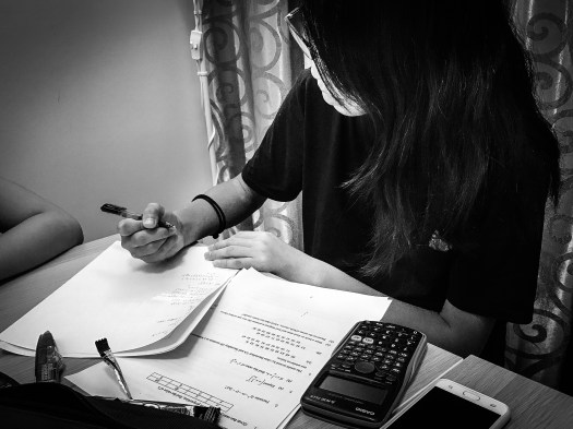 Singapore Bukit Timah Tuition Centre Good Tutor for Small Group Pri Sec English Maths Science Qualified Tutors  Primary Secondary P1 p2 p3 p4 p5 p6 PSLE GCE O level