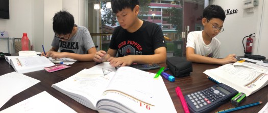 Yishun Primary Mathematics Tutor Small Group Tuition Centre for Secondary 1 Sec 1 Sec 2 Sec3 Sec4 Sec5 E Maths A Maths Additional Maths GCE O levels PSLE IGCSE eduKate Yishun Primary Maths Science PSLE English Pri 1 2 3 4 5 6