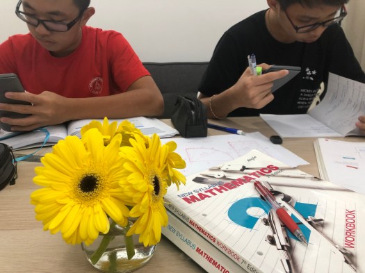 Sengkang Punggol Mathematics Tutor Small Group Tuition Centre for Secondary 1 Sec 1 Sec 2 Sec3 Sec4 Sec5 E Maths A Maths Additional Maths GCE O levels PSLE IGCSE eduKate Yishun
